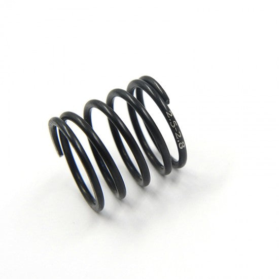 XP-11342 Touring Spring HPS C2.5-2.8 17.5mm Made By Axon 1pair