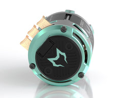 Cayote Crest Stock 1/10 Brushless Competition Sensored Motor